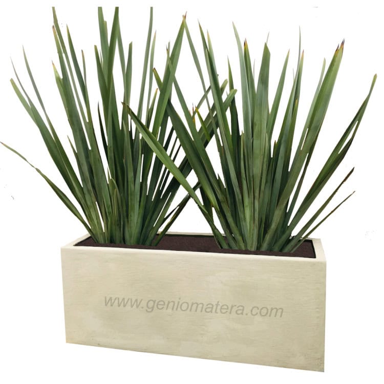 COMBO CEMENTO LINO VERDE