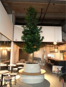 BANCA MATERAINSITUtr