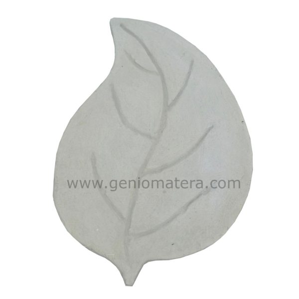 paso hoja