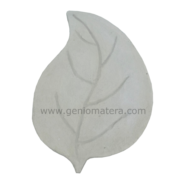 paso hoja