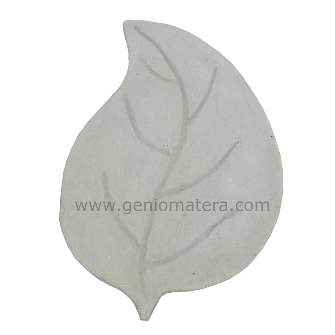 paso hoja