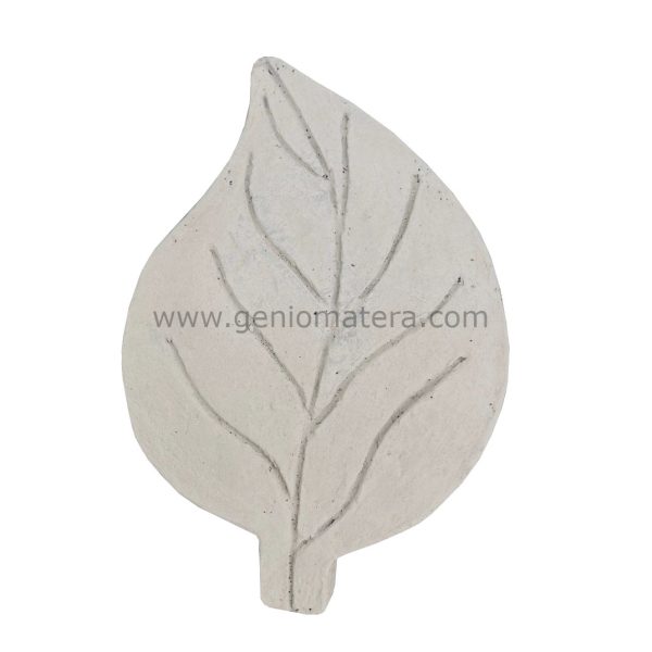 PASO HOJA PEQUEÑO