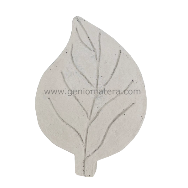 PASO HOJA PEQUEÑO